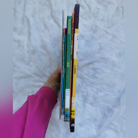 Mixture of Learning Books (Scholastic, Pebble, etc) - Picture 3 of 16